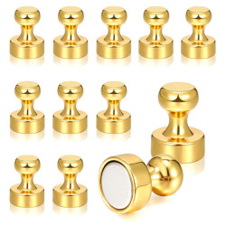  Pin Magnet [Round] - Gold...