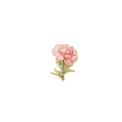 Brooch - Pin - Flower -...